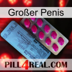 Großer Penis 35